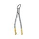 Extraction Forceps
