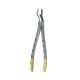 Extraction Forceps
