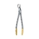 Extraction Forceps