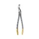 Extraction Forceps