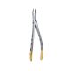 Extraction Forceps