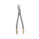 Extraction Forceps