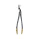 Extraction Forceps