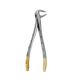 Extraction Forceps