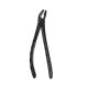 Extraction Forceps
