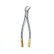 Extraction Forceps