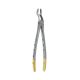 Extraction Forceps