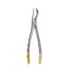 Extraction Forceps