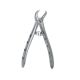 Extraction Forceps