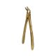 Extraction Forceps