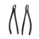 Extraction Forceps