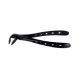 Extraction Forceps