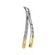 Extraction Forceps