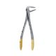Extraction Forceps