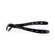 Dental Extraction Kits