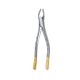Extraction Forceps