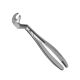 22 1/2R Extraction Forceps English Pattern