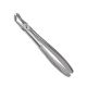 79 Extraction Forceps English Pattern